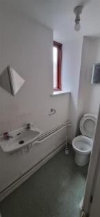 IMG-20251017-WA0040.jpg