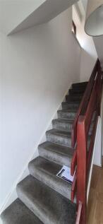 IMG-20251017-WA0042.jpg