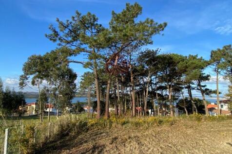 Plot in Obidos Lagoon