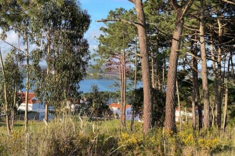 Plot in Obidos Lagoon