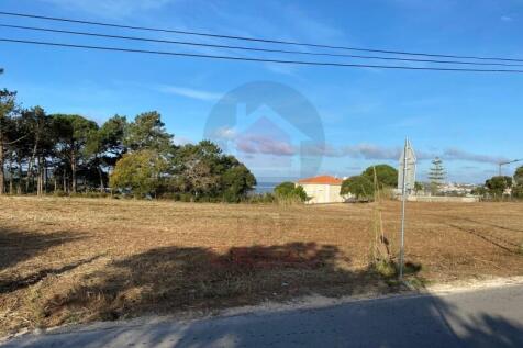 Plot in Obidos Lagoon