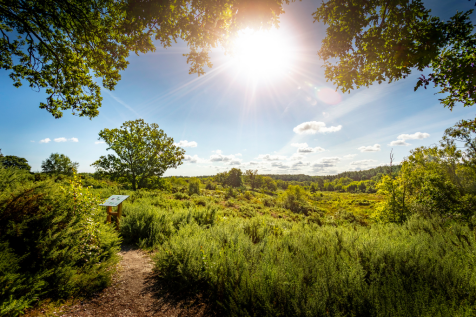 Holt Country Park