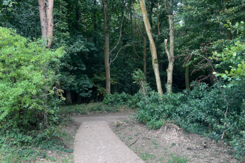 Holt Country Park