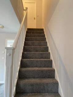 IMG-20250320-WA0010