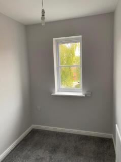 IMG-20250320-WA0007