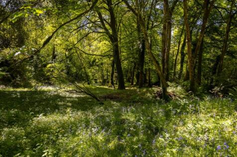 Woodland
