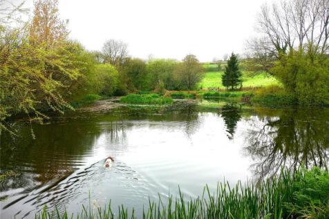 Pond