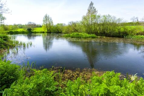 Pond
