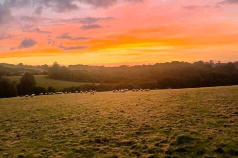 Pasture Land