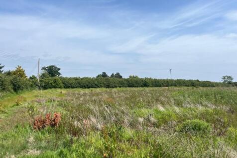Land