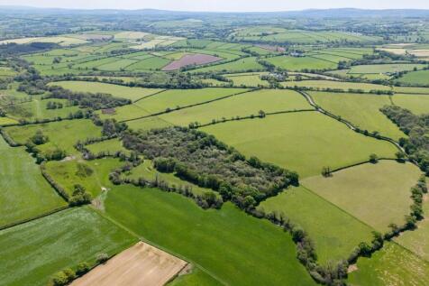 Lot 4 Land