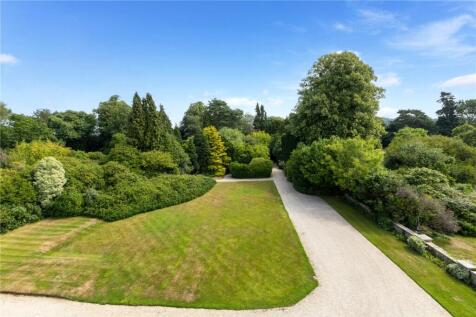 Driveway/Garden