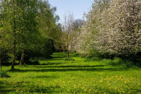 Old Orchard
