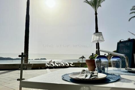 WhatsApp Image 2024-11-21 at 11.54.08