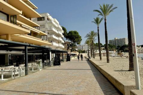 WhatsApp Image 2024-11-21 at 11.54.07 (1)