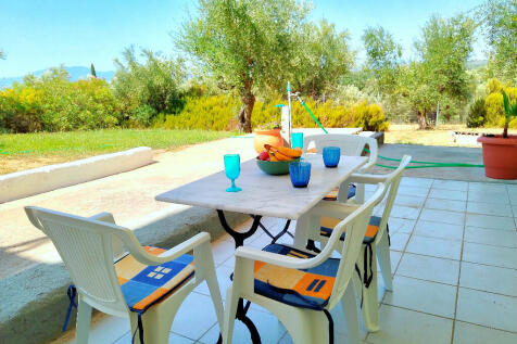 Patio &amp; garden