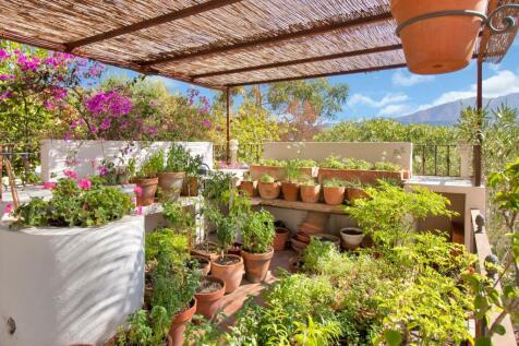 Property Image 32