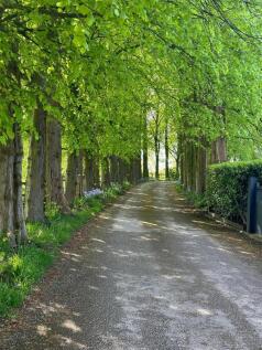 PHOTO-2025-10-29-14-50-37 11.jpg