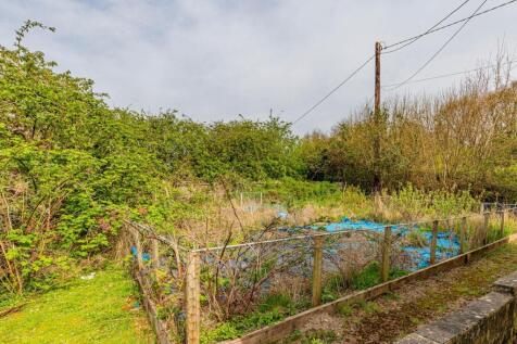 Trehir Farm-36.jpg