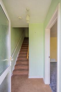 IMG_5476.jpg