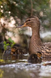 heidi 04.04.21-125.JPG