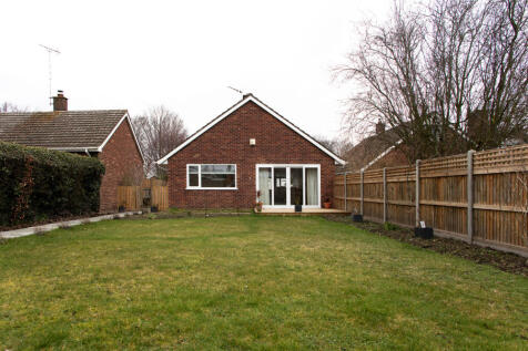 Back garden