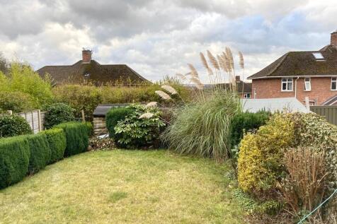 Back Garden