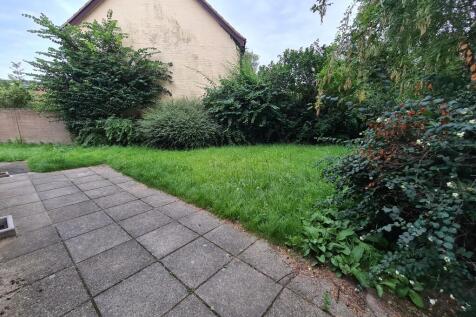 Back Garden