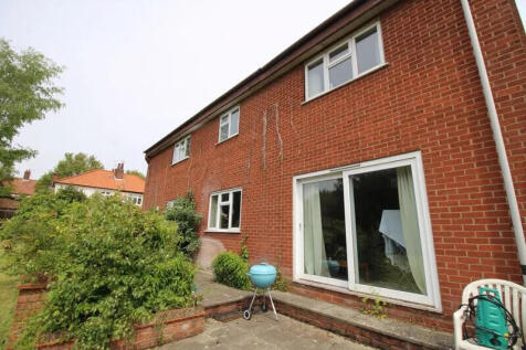 Back Garden