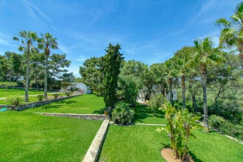 Property Image 37