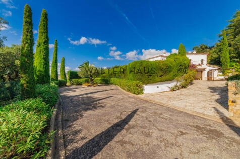 Property Image 37