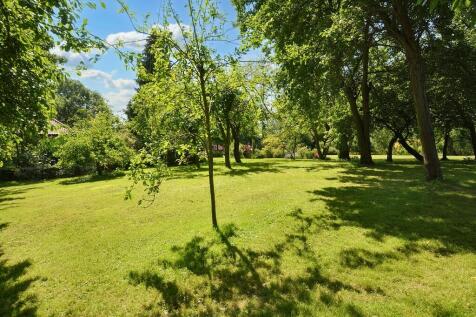 Orchard View