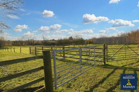 Paddock and New O...