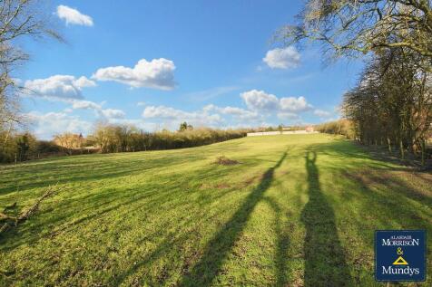 Field View