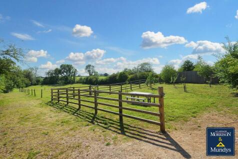 Paddock View
