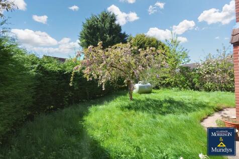 Side Garden