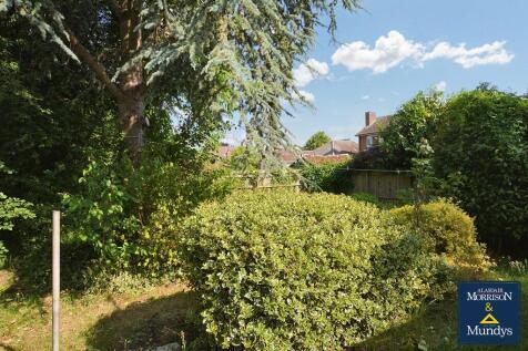 Rear Garden (2)