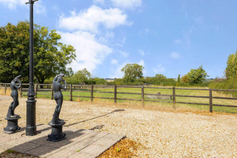 Front Paddock