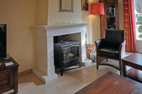 Wood burner