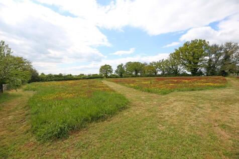 Field
