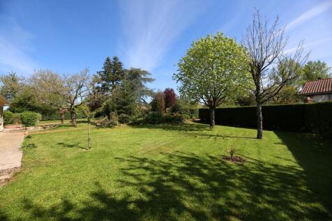 Front garden