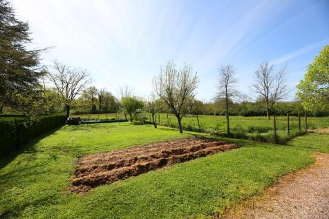 Vegetable garden