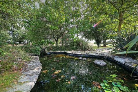 Fish pond