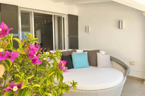 05-Port d&#39;Andratx-Neomediterrane Finca mit Hafen -und Meerblick-kaufen-pflanze