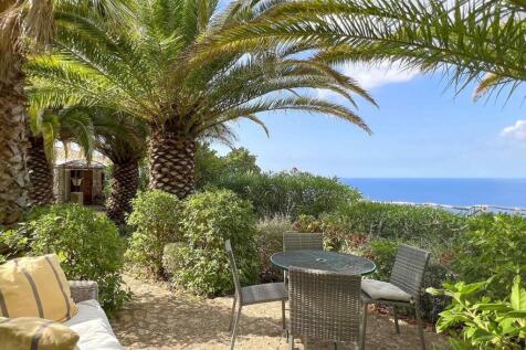 16-Banyalbufar-Historisches Finca-Anwesen-kaufen-palme