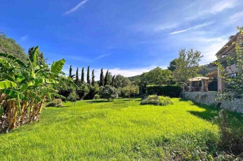 19-S&#39;Arracó-Traditionelle Finca-kaufen-wiese_1