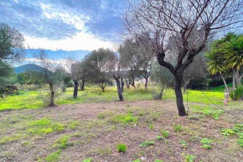 16-Andratx-Dorfhaus im Fincastil-kaufen-feld