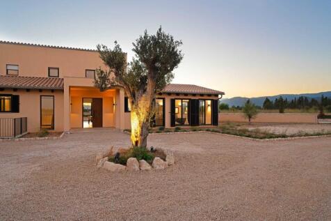 17-santa maria-Finca Anwesen im Herzen Mallorcas-kaufen-baum