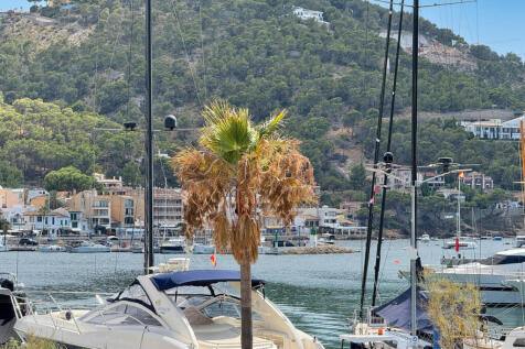 02-Port d&#39;Andratx-Moderne Wohnung in erster Reihe von Port d¿Andratx-palme_1