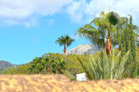 16-andratx-Finca mit Traumgarten und Swimmingpool-kaufen-palmen